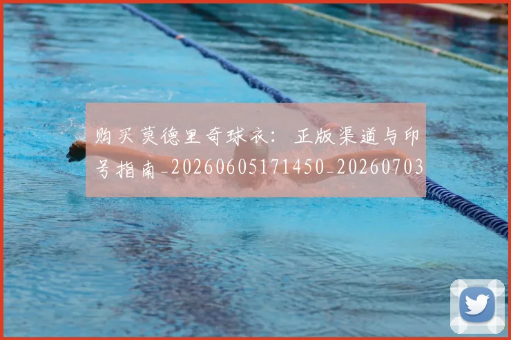 购买莫德里奇球衣:正版渠道与印号指南_20260605171450_20260703182010